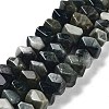 Natural Eagle Eye Stone Beads Strands G-D091-A03-1