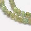 Natural Apatite Beads Beads Strands G-F460-21-3