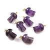 Natural Amethyst Pendants G-M380-C01-P-1