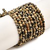 Natural Dalmatian Jasper Beads Strands G-Z068-B07-01-1