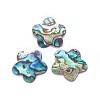 Abalone Shell/Paua Shell Pendants SHEL-P076-07-1