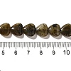 Natural Labradorite Beads Strands G-R190-10mm-52-5