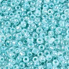 8/0 Glass Seed Beads SEED-US0003-3mm-154-2
