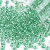 6/0 Glass Seed Beads SEED-A015-4mm-2218-1