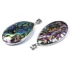 Natural Abalone Shell/Paua Shell Pendants SSHEL-N034-90-3