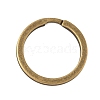 Iron Split Rings IFIN-H065-02B-AB-1