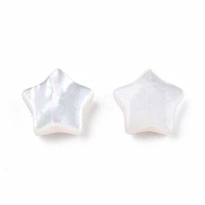 Natural White Shell Beads SSHEL-N032-54B-1
