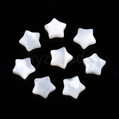 Natural White Shell Beads SSHEL-N032-54B-1