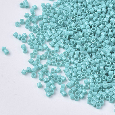 FGB 11/0 Grade A Glass Seed Beads X-SEED-S030-0729-1