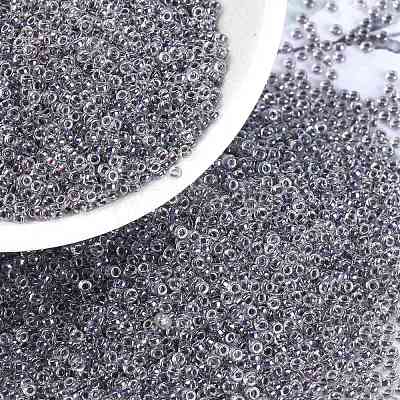 MIYUKI Round Rocailles Beads X-SEED-G009-RR3203-1