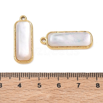 Natural Freshwater Shell Pendants SA-CBA11D7-11A-G-1