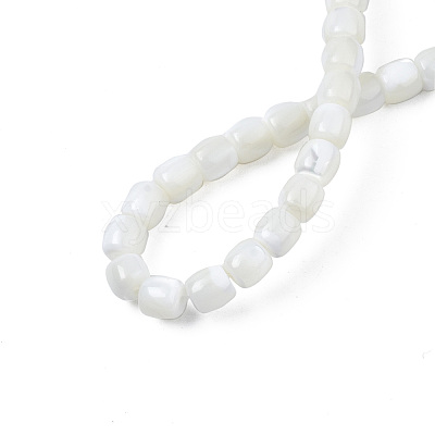 Natural Trochid Shell/Trochus Shell Beads Strands SSHEL-N034-121-B01-1