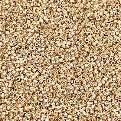 MIYUKI Delica Beads SEED-MY11-DB2501-1