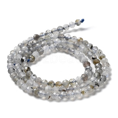 Natural Labradorite Beads Strands G-I341-11-1