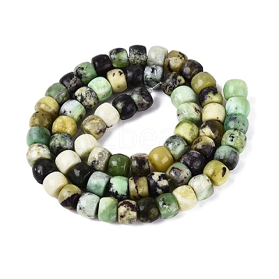 Natural Serpentine Beads Strands G-Q616-02A-09-1