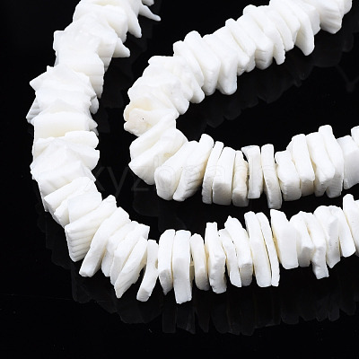 Natural White Shell Beads Strands X-SSHEL-S266-029-1