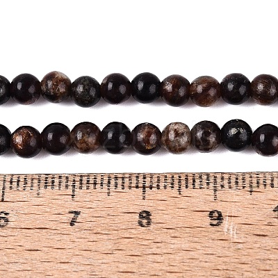 Natural Biotite Beads Strands G-Q616-01A-1
