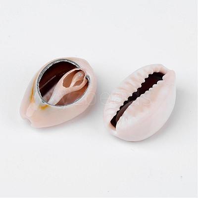 Natural Cowrie Shell Beads X-BSHE-S053-1