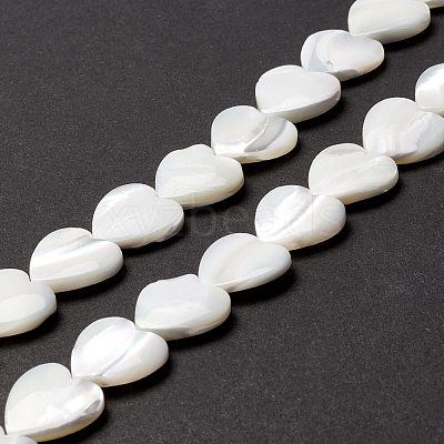 Natural Trochid Shell/Trochus Shell Beads SSHEL-O001-27D-1