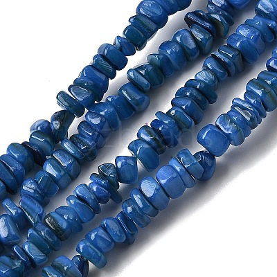 Natural Freshwater Shell Beads SHEL-B003-01M-1