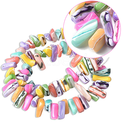 1 Strand Dyed Natural Trochus Shell Beads Strands SSHEL-PA0001-01A-1