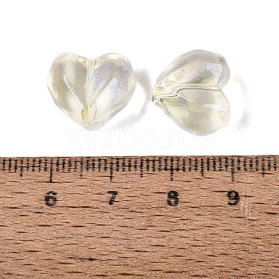 Baking Paint Transparent Glass Beads DGLA-N022-02-1
