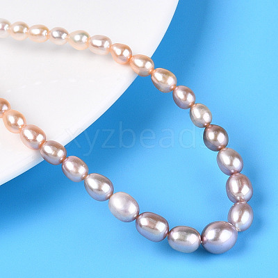 Natural Cultured Freshwater Pearl Beads Strands PEAR-K003-21D-1