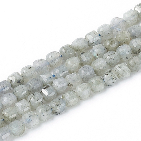 Natural Labradorite Beads Strands X-G-I270-04-1