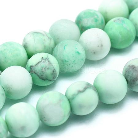 Natural Howlite Bead Strands G-I224-04A-8mm-1