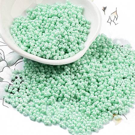 Opaque Colours Glass Seed Beads SEED-A033-06K-1