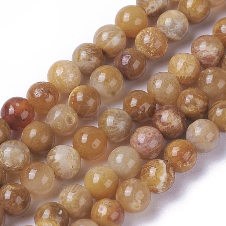 Natural Fossil Coral Beads Strands G-F648-01-A-1