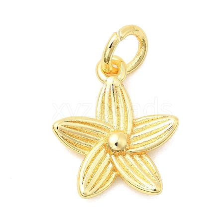 Brass Charms KK-C139-31D-G-1