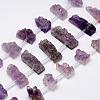 Natural Druzy Amethyst Beads Strands G-K135-C01-1