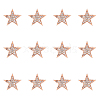 SUPERFINDINGS 12Pcs Star Brooch Pin JEWB-FH0001-43-1