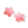 Imitation Candy Food Style Resin Cabochons RESI-R461-02J-2