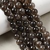 Natural Smoky Quartz Beads Strands G-B167-A09-8mm-1