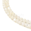 Natural White Shell Beads Strands SHEL-M021-03B-3