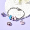 Handmade Lampwork European Beads LAMP-S193-004-M-4