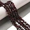 Natural Garnet Beads Strands G-L608-A06-01-2