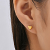 Stainless Steel Stud Earring NR5432-06-3