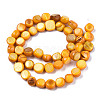 Natural Freshwater Shell Beads Strands SHEL-S276-110B-08-2