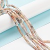 Natural Crazy Lace Agate Beads Strands X-G-F247-33-2