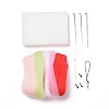 DIY Pendant Decoration Needle Felting Kit DIY-C051-05-2