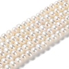 Natural Cultured Freshwater Pearl Beads Strands PEAR-E018-41-1