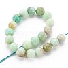 Natural Chrysoprase Beads Strands G-S333-10mm-037-2