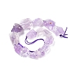 Natural Amethyst Beads Strands G-I283-E03-2