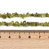 Natural Peridot Beads Strands G-P332-48-02-4