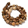 Natural Picture Jasper Beads Strands G-P497-01E-59-3