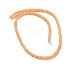 Dyed Natural Freshwater Shell Beads Strands X1-BSHE-G039-07A-2
