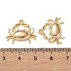 Ocean Brass Pendants KK-L266-02C-G-3